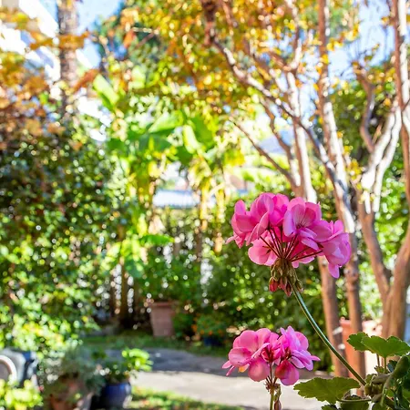 Garni Dei Fiori Otel Ascona
